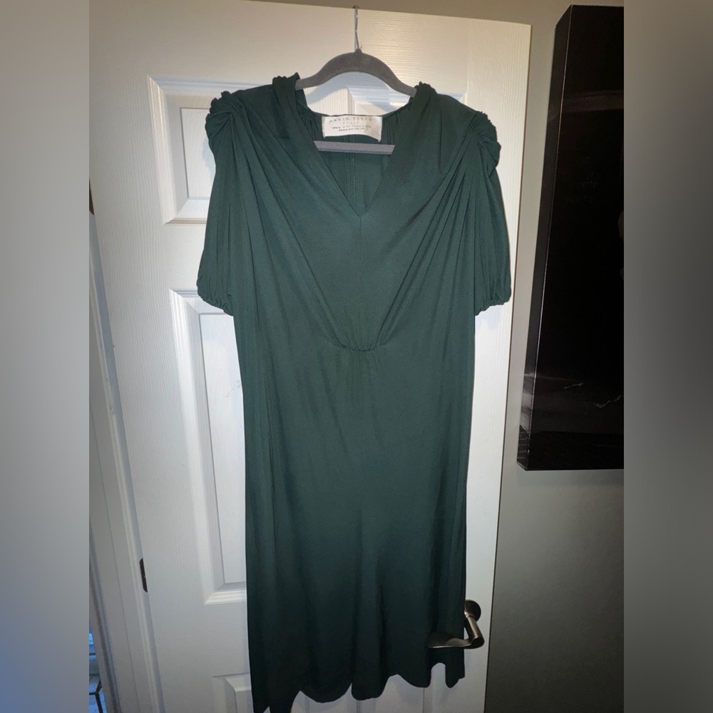 Stunning French made David Szeto dress